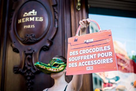 Urge Hermès to Ban Exotic Skins! 